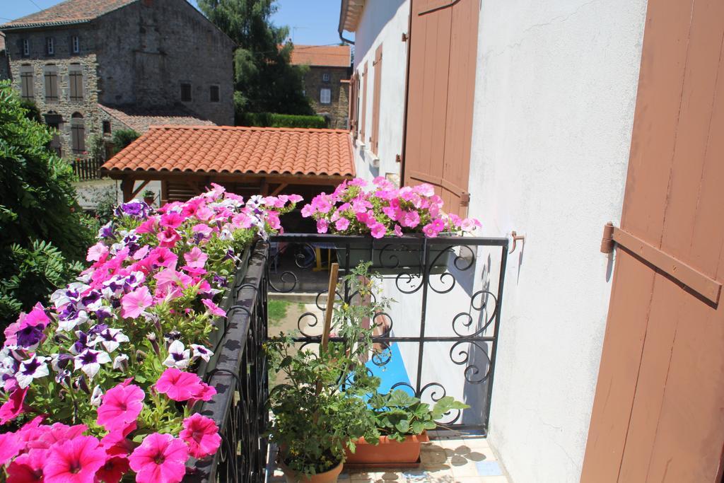 La Maison Des Chats Saint-Mary-le-Plain Екстериор снимка